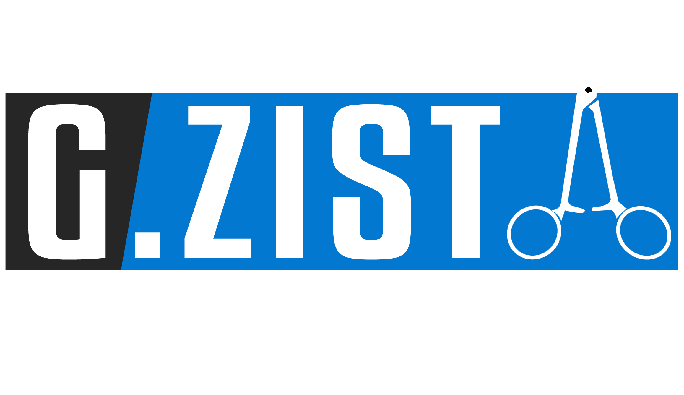 G.Zista Surgical